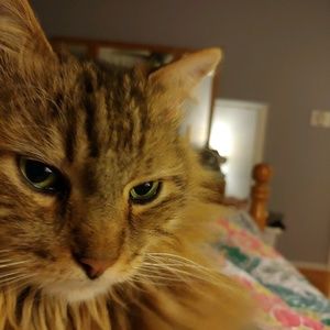 Meet your Posher, Maureen